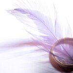 お姫様の暮らし