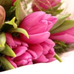 お姫様の暮らし