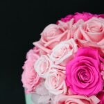 お姫様の暮らし