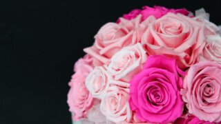 お姫様の暮らし