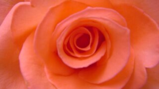 お姫様の暮らし