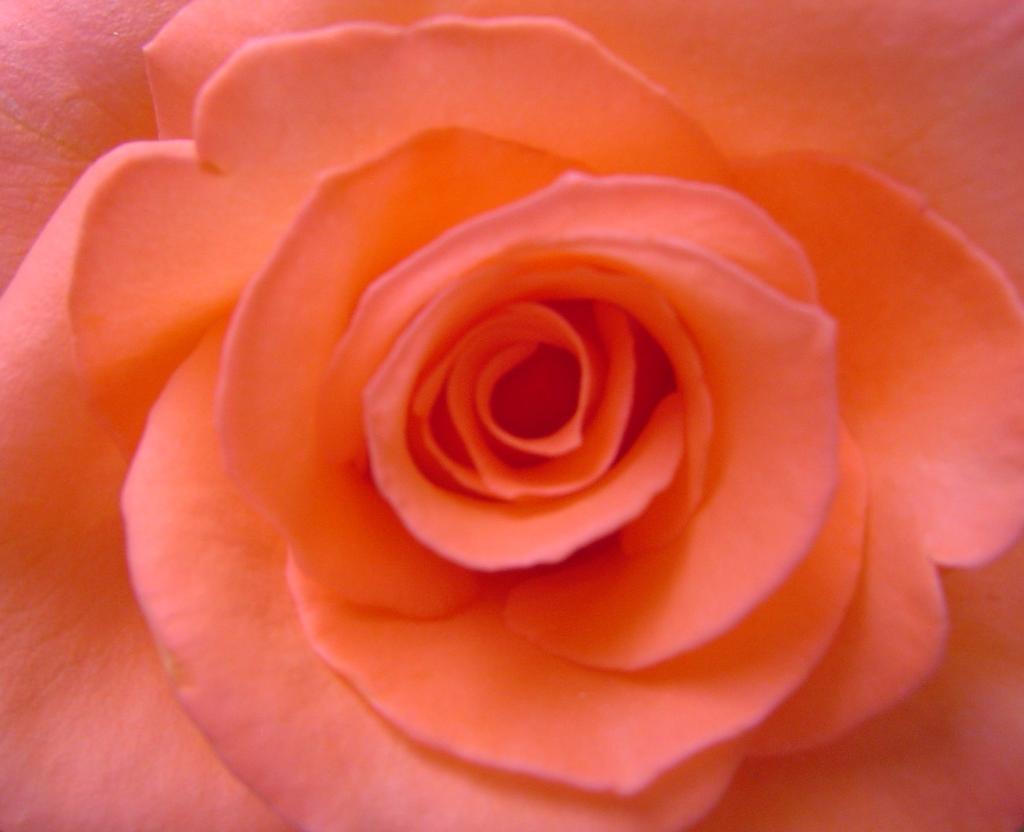 お姫様の暮らし