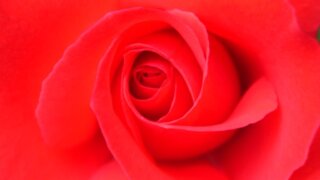 お姫様の暮らし