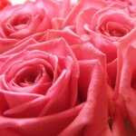 お姫様の暮らし