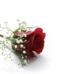 お姫様の暮らし