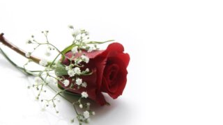 お姫様の暮らし