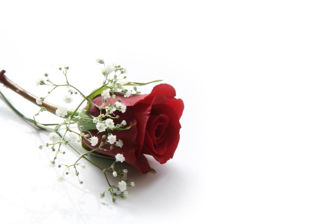 お姫様の暮らし