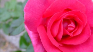 お姫様の暮らし