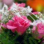 お姫様の暮らし