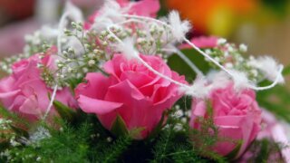 お姫様の暮らし