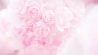 お姫様の暮らし