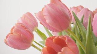 お姫様の暮らし