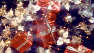 お姫様の暮らし