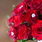 お姫様の暮らし