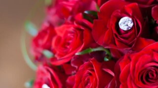 お姫様の暮らし